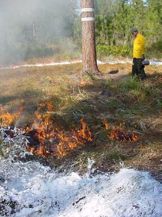 Prescribed burn every 1-3 years on a landscape scale