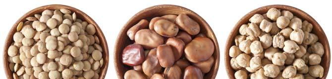 Legumes For