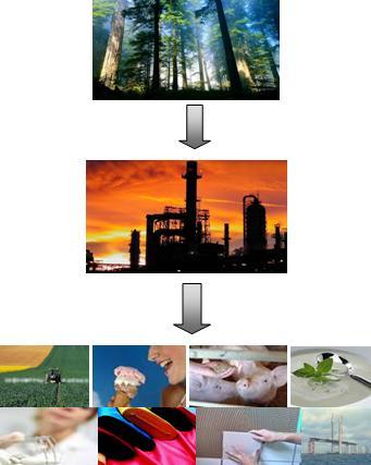 The Biorefinery approach to production of lignocellulosic