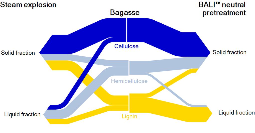 Bagasse mass balance (only C/H/L shown)