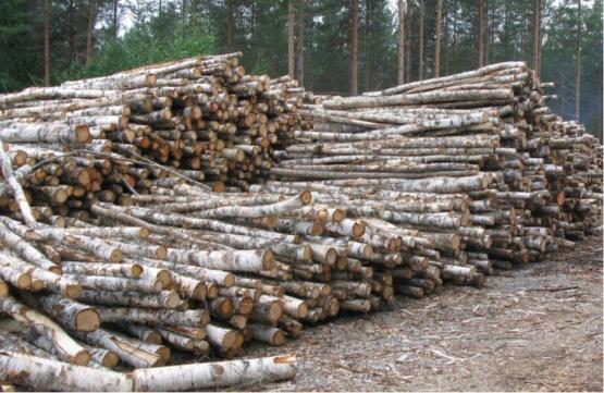 Quality requirements for firewood International firewood standard: EN ISO 17225-5:2014 Quality classes A1 (first class firewood) A2 (second class firewood) B (third class firewood, mainly for