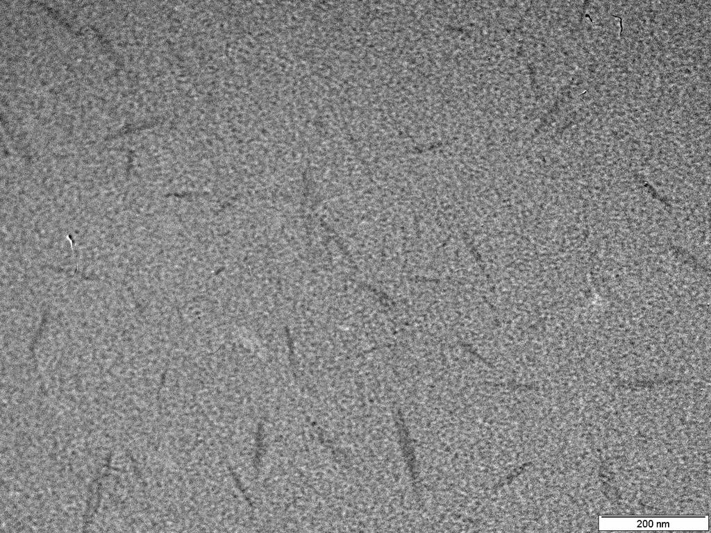 CNF From Wheat Straw Cellulose nanowhiskers were successfully extracted from wheat straw using a combined chemical and mechanical extraction TEM micrograph