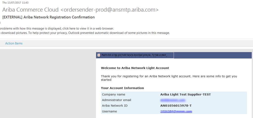 Ariba Light Registration (continued) Upon completion of registration you will receive