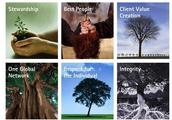 Our core values shape our culture, direct our behavior and guide our decision-making Valuing diverse and unique contributions, fostering a