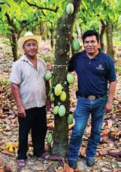 Cocoa Cocoa, the most important ingredient of chocolate, is grown by more than 4.5 million farmers in remote rural regions, and Nestlé uses more than 10% of the world s production.