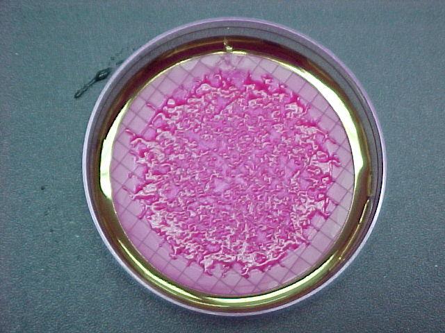 The nutrient agar growth medium is not specific for total coliform.