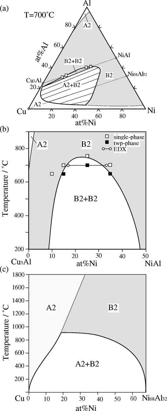 precisely in agreement with all the experimental data including the tie lines, supporting the experimental result obtained by the TEM examination where the separation is described as B2(b) to B2(b 1