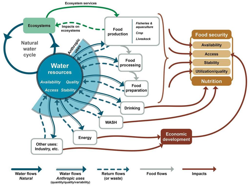 MULTIPLE LINKAGES OF WATER WITH FOOD AND NUTRITION