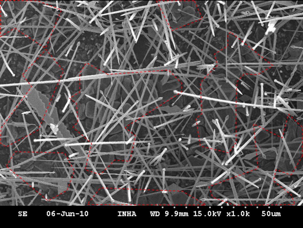 2013 S6 Fig. S4. Plan-view SEM image of the product prepared at 1500 C.
