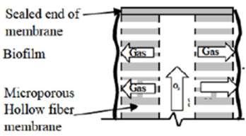 MABR (Membrane Aerated Biofilm Reactor) Oxygen diffusion through hollow fiber membrane Biofilm Development Aerobic Anoxic outside wall
