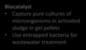 Trickling filter, MBBR, IFAS Biocatalyst Capture pure cultures of