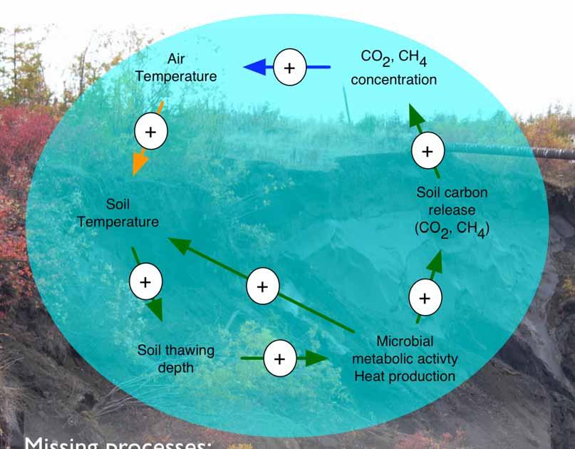carbon release (CO 2, CH 4 ) Soil