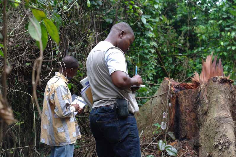 3. Identifying the best intervention As discussed in Section 2, the most appropriate intervention to protect forests will depend on a variety of factors including who is carrying out the