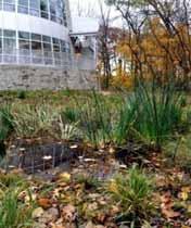 Stormwater Design Quality Control Typical Strategies: A.