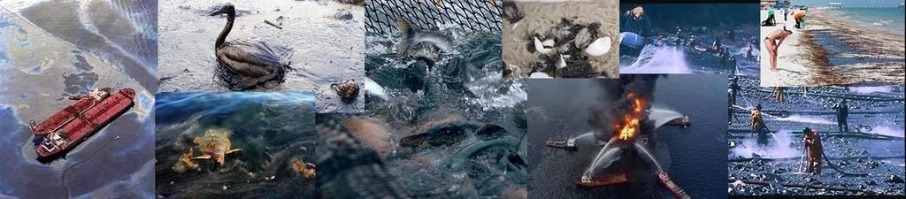 Oil Spills and the Marine Environment: Preparedness,