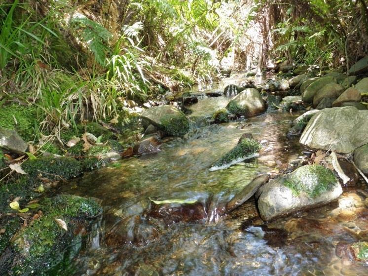 Wellington streams - geomorphic control Headwater are steep, hard bottomed, fault defined Intense rainfall