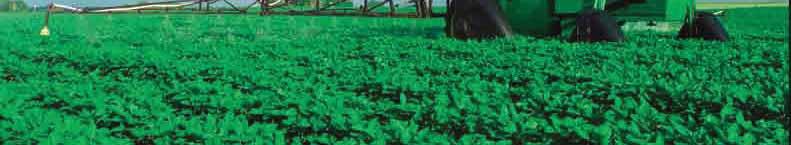 To meet growing demand and rising costs, growers must consider new production practices in order to reach desired yields and profits.