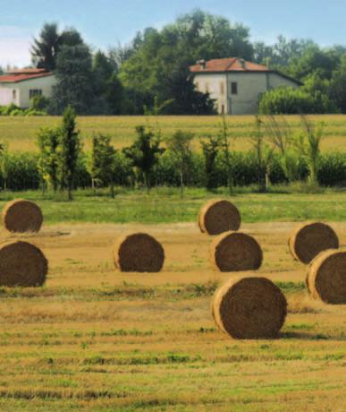 The Emilia-Romagna Rural