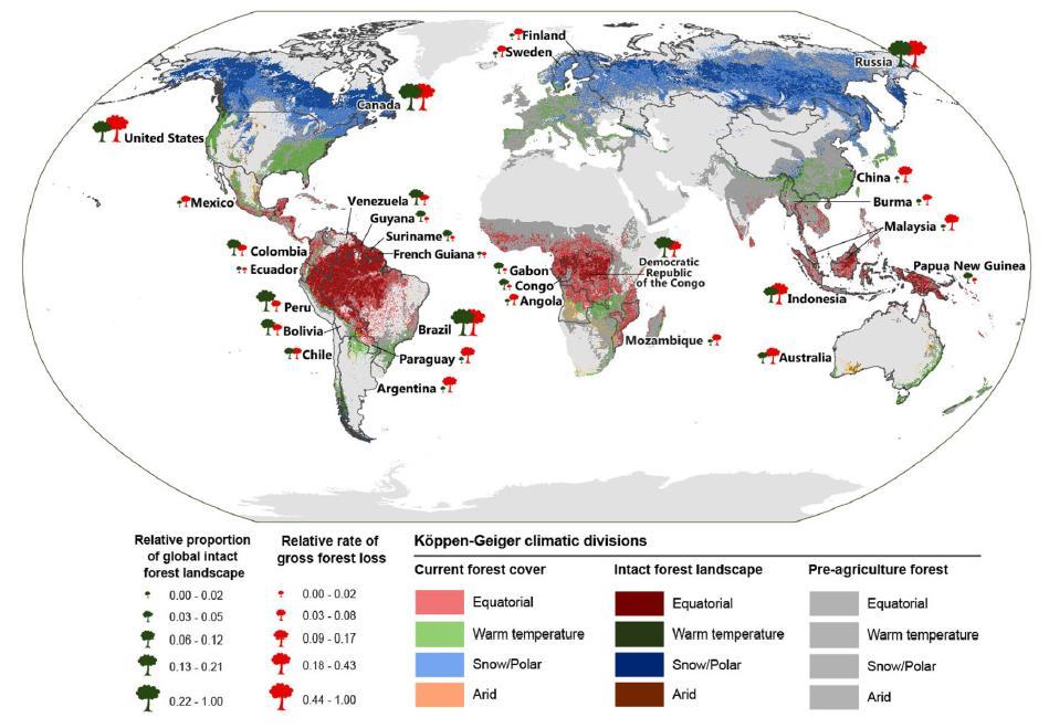 Mitigation potential in all forest biomes Source: Mackey et al. (2015) Conservation Letters DOI: 10.1111/conl.