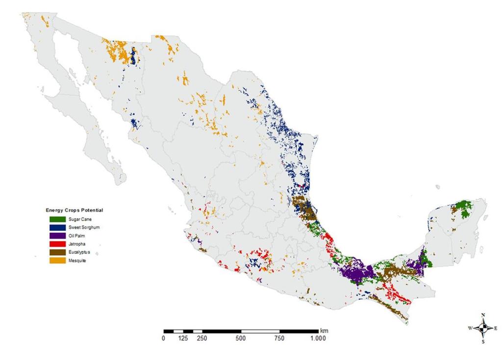 Development of a Bioenergy Strategy for Mexico