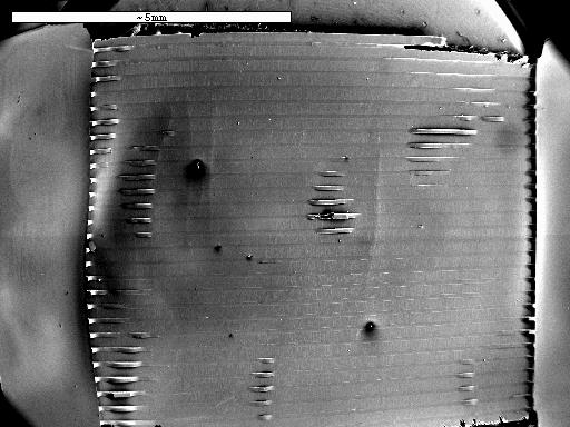 Figure 4A shows a micrograph of an approximately 100 µm x 100 µm PDMS microchannel.