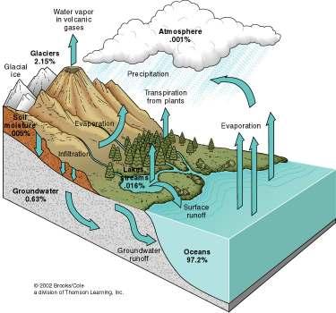 The Water Cycle The annual circulation of H 2 O is the largest movement of a chemical substance at the surface of the Earth The distribution of water at the Earth's