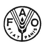 FOOD AND AGRICULTURE ORGANIZATION OF THE UNITED NATIONS - ROME