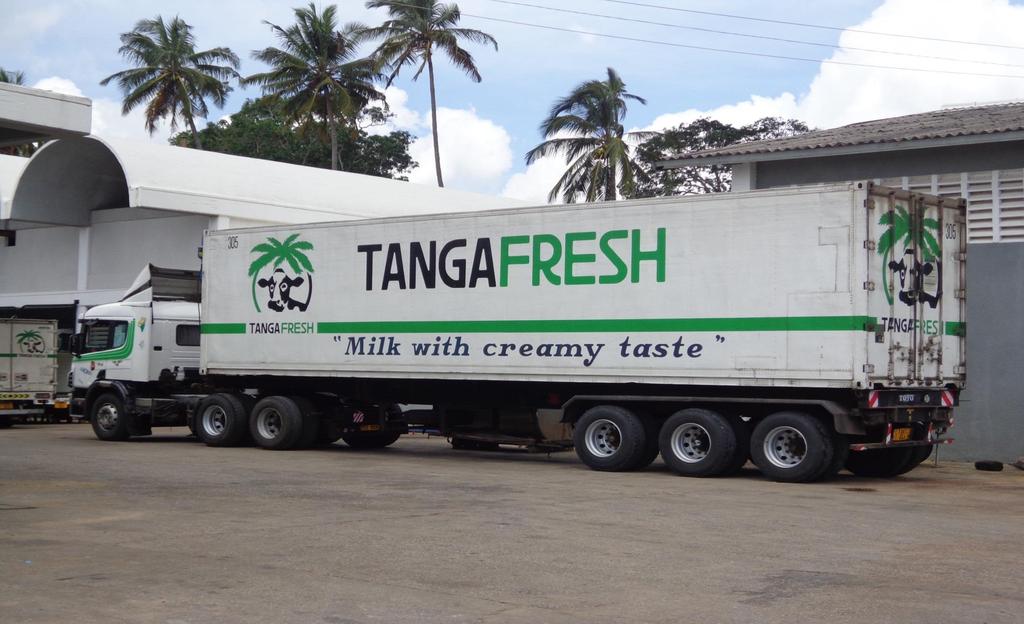 Tanga Fresh