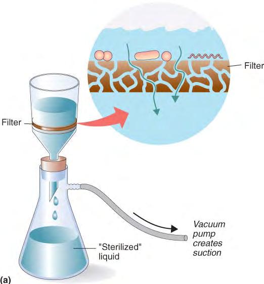 Filtration Filters with pore sizes smaller than microbial cells (0.