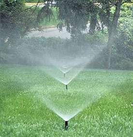 14.15 Irrigation System Adjustment and Maintenance SOP No.: 14.