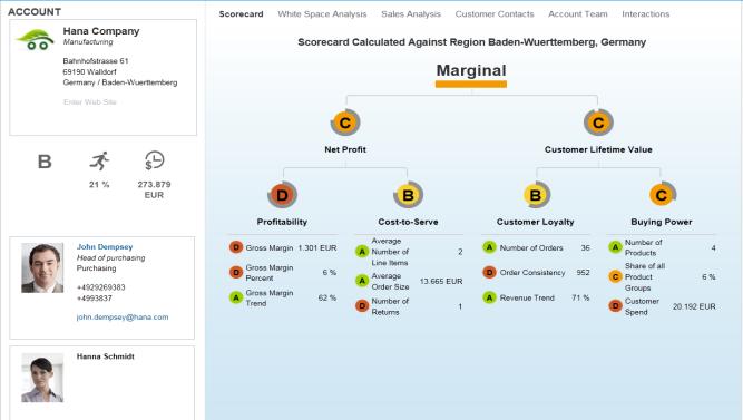 INSIGHTS - CUSTOMER VALUE INTELLIGENCE Customer portfolio analysis using the current and potential value of your customers Balanced score card to detect strength and weaknesses in a customer