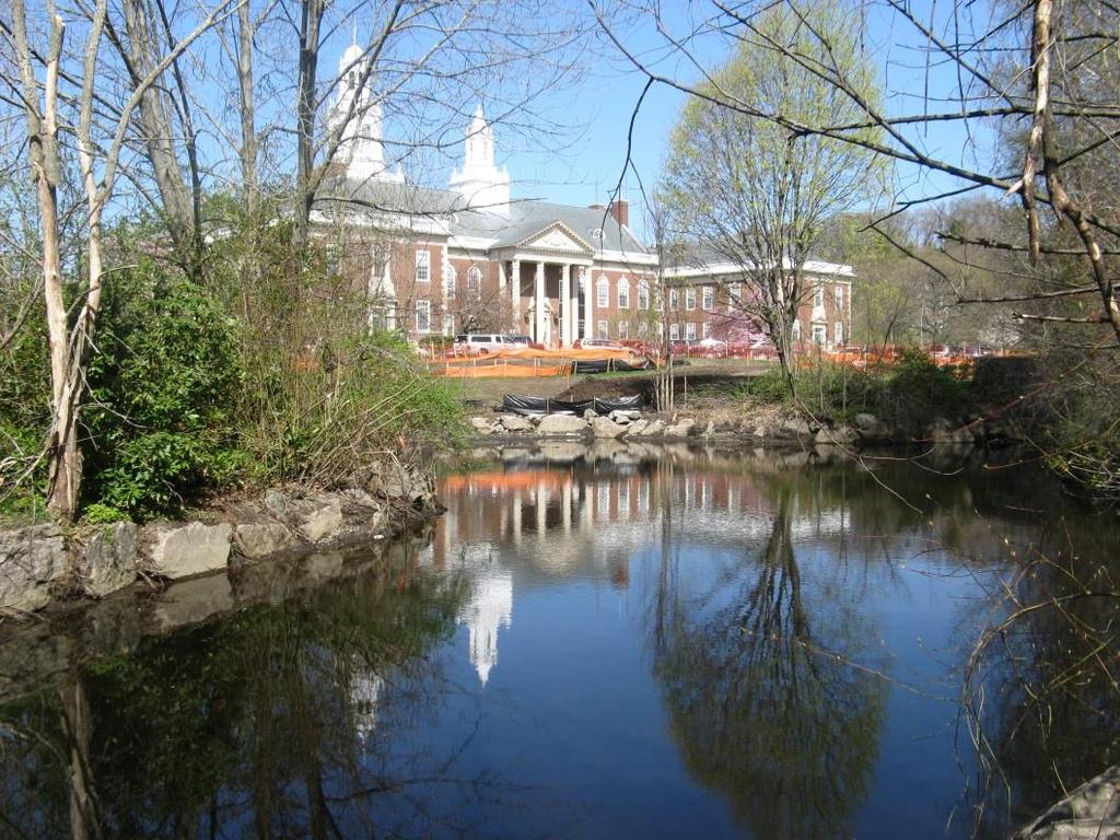 City Hall Pond