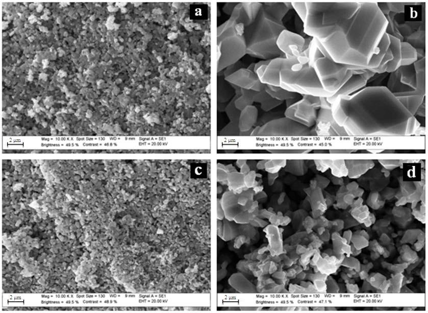 Fig. 7. Micrographs of rutile powders formed during oxidation of different titanium samples.