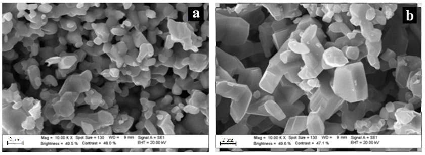 Micrographs of rutile powders formed during oxidation of iodide titanium samples: (a) at the interface with the metal;(b) at the interface with monolithic TiO 2 Studies of the