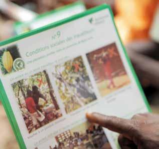 SAN/Rainforest Alliance support strategies: Support strategies are the activities that the SAN, the Rainforest Alliance, other SAN members and partners carry out to support the results identified in