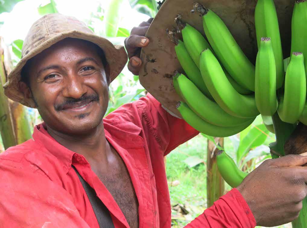 Farmer Spotlight: Certified Bananas in Costa Rica Eriberto Ruiz works on Finca Santa Marta, a Rainforest Alliance Certified banana farm in Bataan, Limón, in the Atlantic region of Costa Rica.