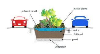 Importance of soil in pollutant uptake and runoff reduction Pollutant Mitigation Physical Chemical Biological Runoff Reduction