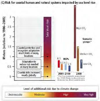 Risks impacted by Sea Level
