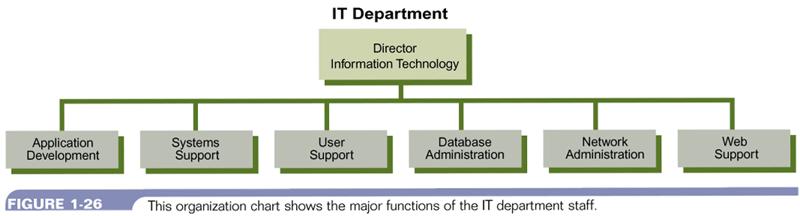Information Systems Department Most organizations now have an information systems department that is responsible for the development and maintenance of information systems.