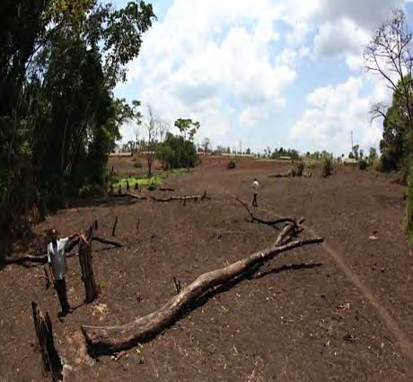 2011 Results Summary Hoima Block, Western Uganda Area 320,000 Ha Natural grasslands, woodlands and forests 147,000 Ha = 46% area Conversion to agricultural land at 1,000 Ha