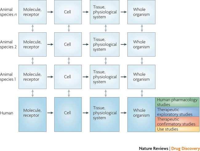 The Translational Process of Drug R&D Biomarker A. F.