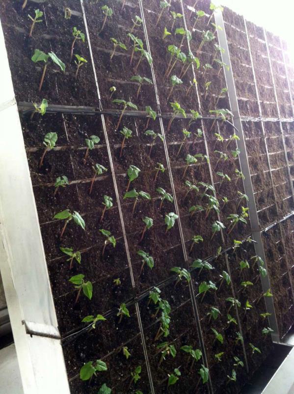 Vertical Farms can be implemented almost anywhere with common off the shelf materials.