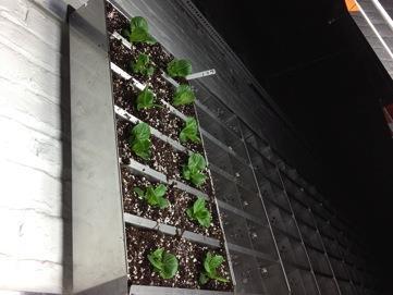 greens vertical farm grows and delivers your produce, the panels are exclusive to you and no other