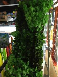 Vertical Farming Edible Walls Services & Products: Herb / Produce Exchange Programs Panels of produce are delivered on schedule Spent / used panels are
