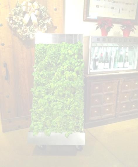 Vertical Farming Edible Walls Services & Products: Retail or Restaurant Displays