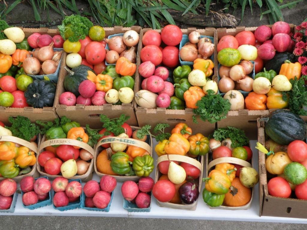 HEALTH BENEFITS: - Fresh organic food in urban food