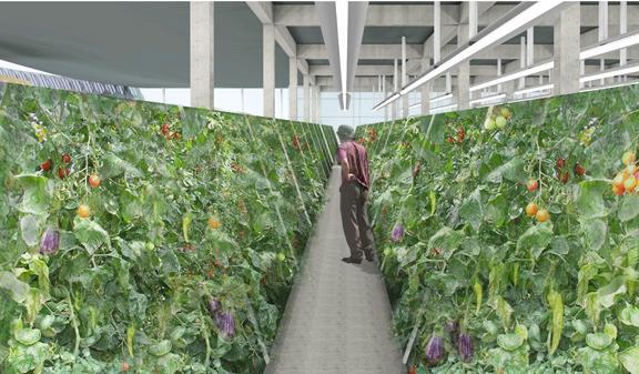 SELF SUSTAINING VERTICAL FARMING FACILITY -