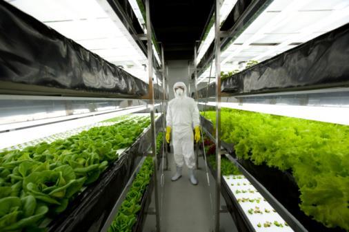 Vertical Farming Hydro vs Compost No such thing as Organic hydroponics hydroponic produce