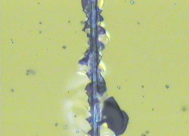 Figure 8 : Micrograph of