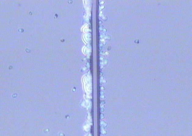Glass Figure 4 : Micrograph